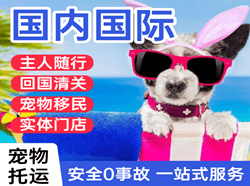 长治国际宠物托运 【国